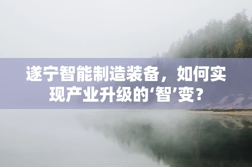 遂宁智能制造装备，如何实现产业升级的‘智’变？