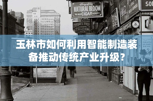 玉林市如何利用智能制造装备推动传统产业升级？