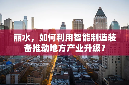 丽水，如何利用智能制造装备推动地方产业升级？