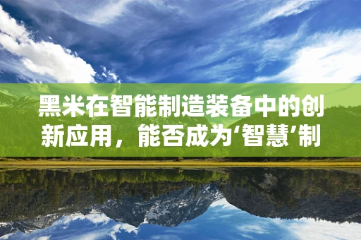 黑米在智能制造装备中的创新应用，能否成为‘智慧’制造的‘米’？