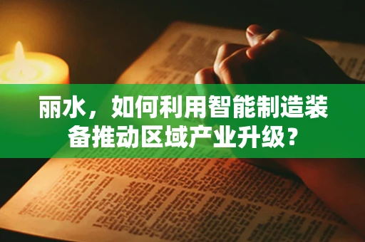 丽水，如何利用智能制造装备推动区域产业升级？