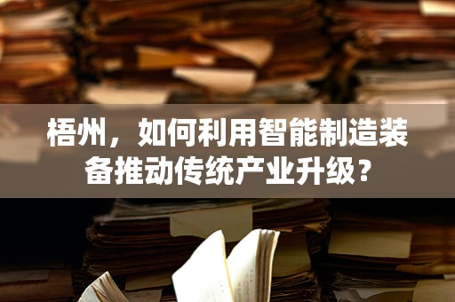 梧州，如何利用智能制造装备推动传统产业升级？