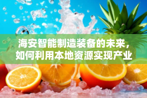 海安智能制造装备的未来，如何利用本地资源实现产业升级？