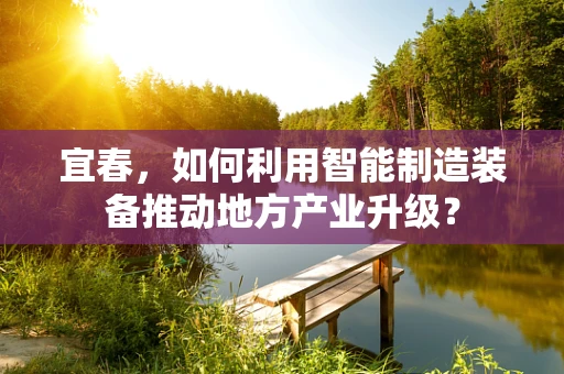 宜春，如何利用智能制造装备推动地方产业升级？