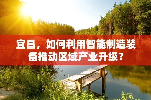 宜昌，如何利用智能制造装备推动区域产业升级？